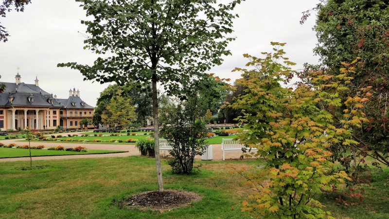 2018-09-01 14.04.37-1.jpg