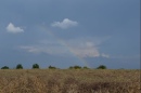 p_0009.jpg