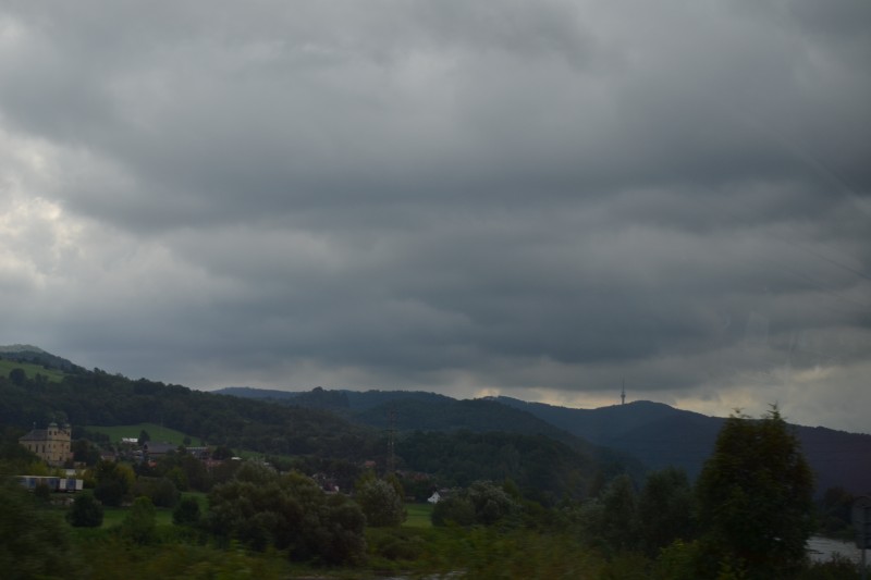 DSC_7367.jpg