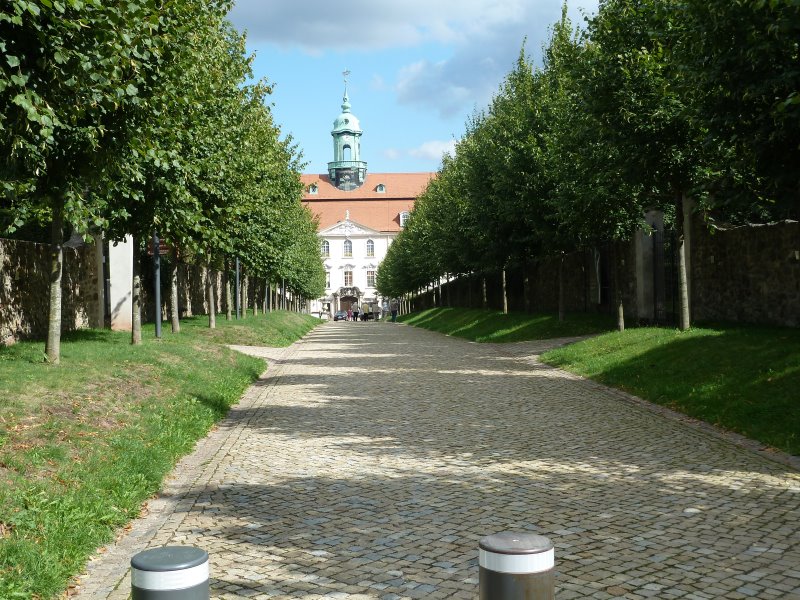 p_0001.jpg
