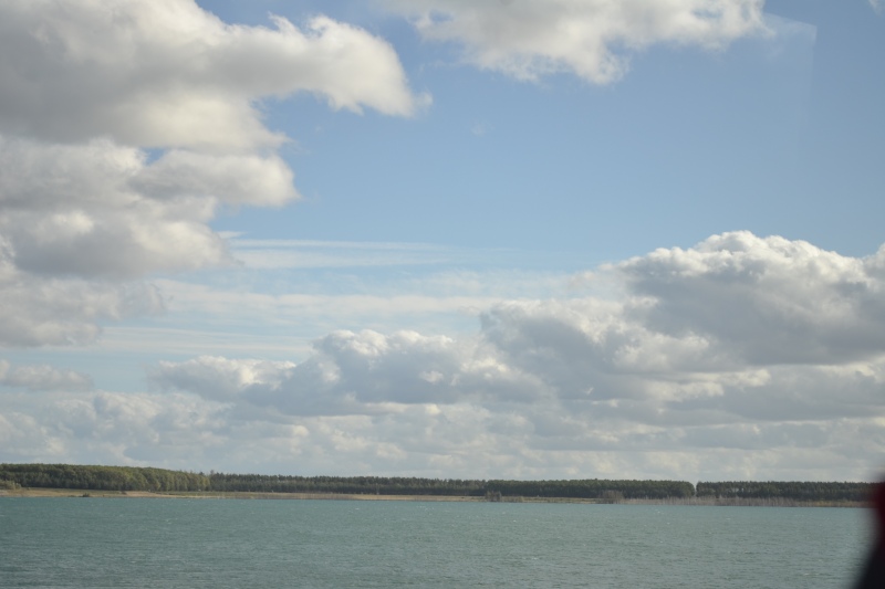 DSC_8258.jpg