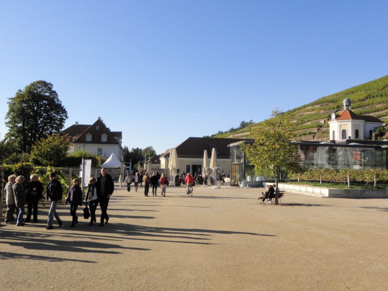 p_0003.jpg