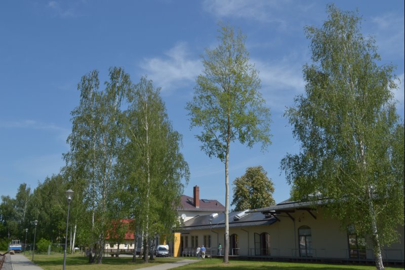 p_0002.jpg