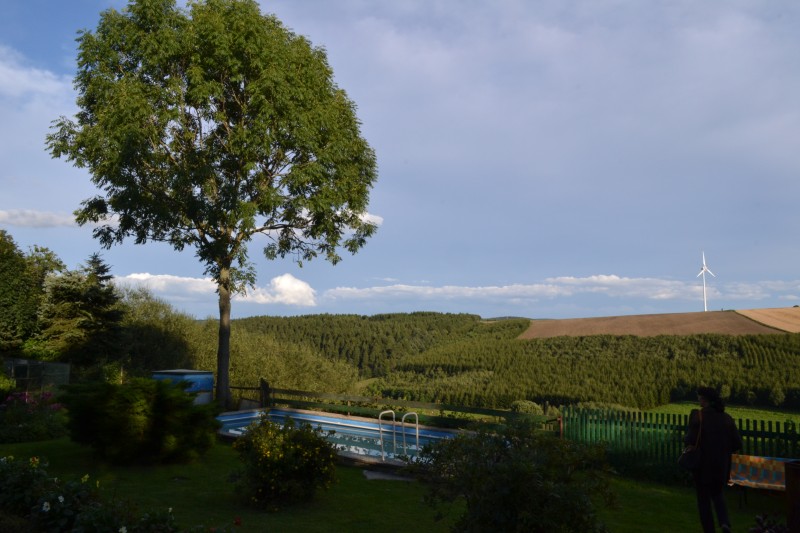 DSC_4342.jpg