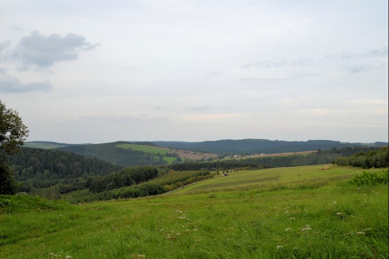 p_0003.jpg