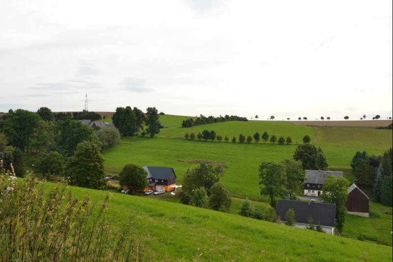 p_0005.jpg