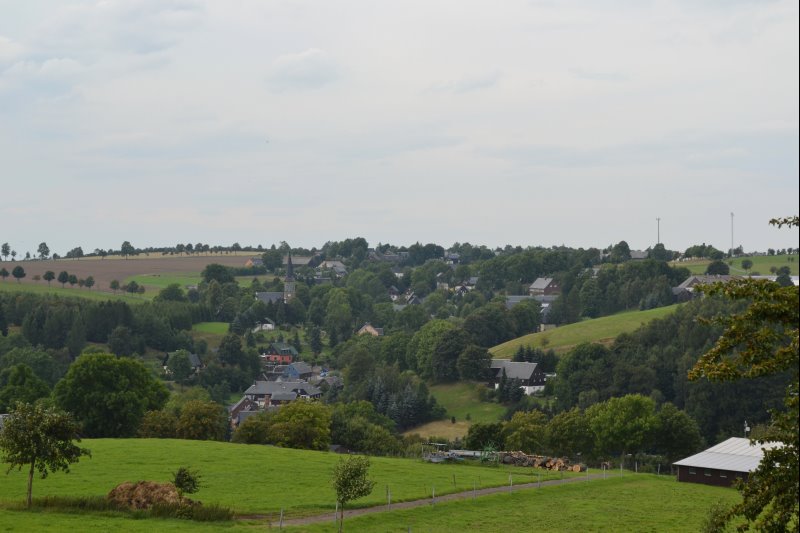 p_0006.jpg