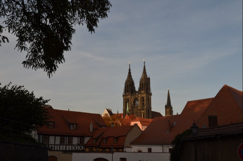 p_0015.jpg