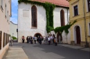 p_0009.jpg