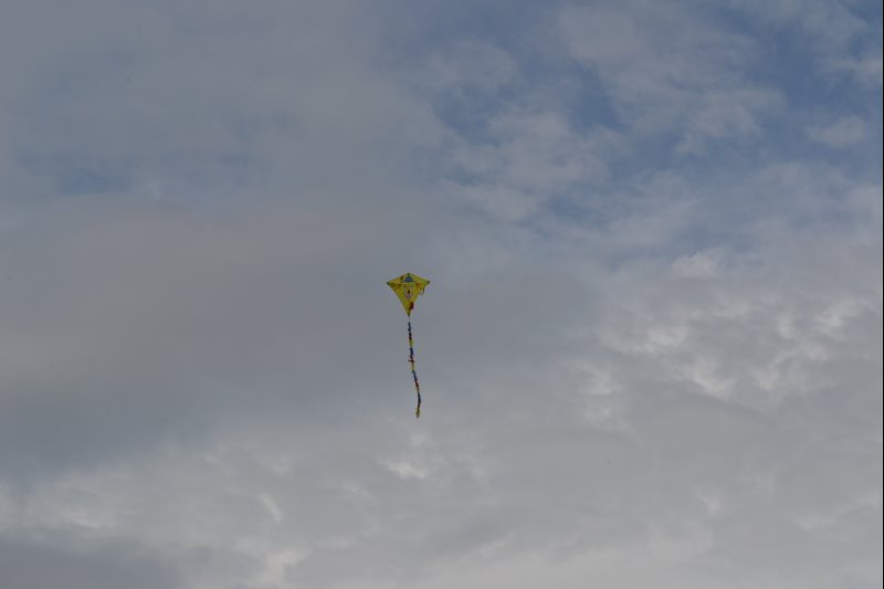 p_0020.jpg