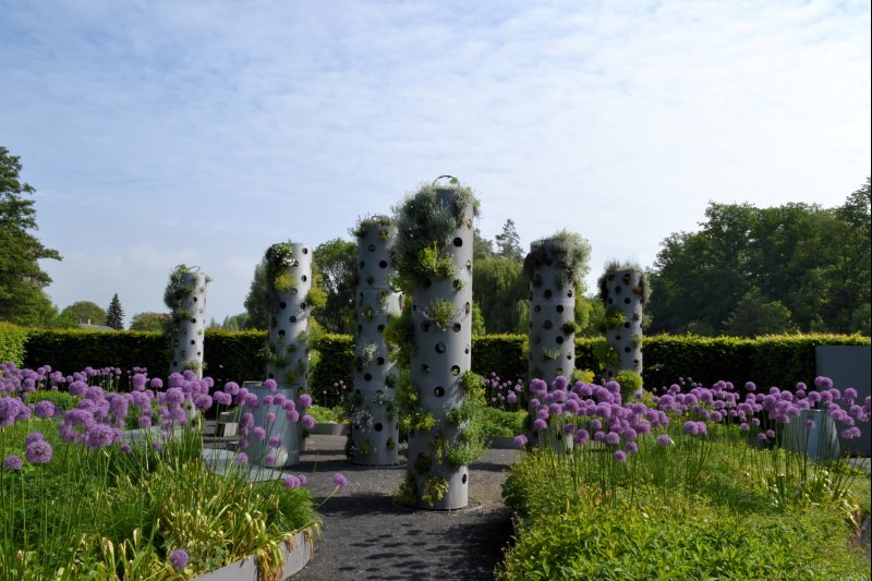 p_0006.jpg