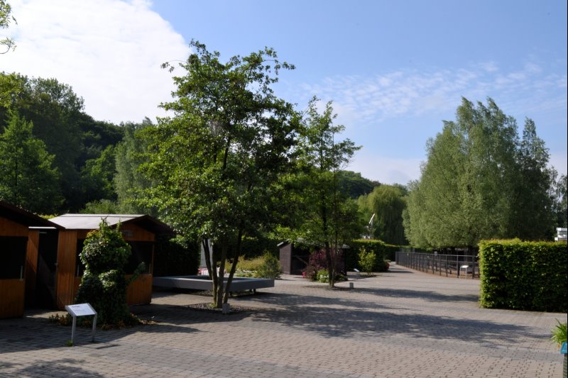 p_0007.jpg