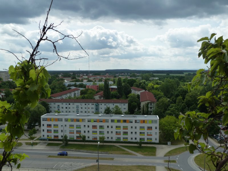 p_0014.jpg